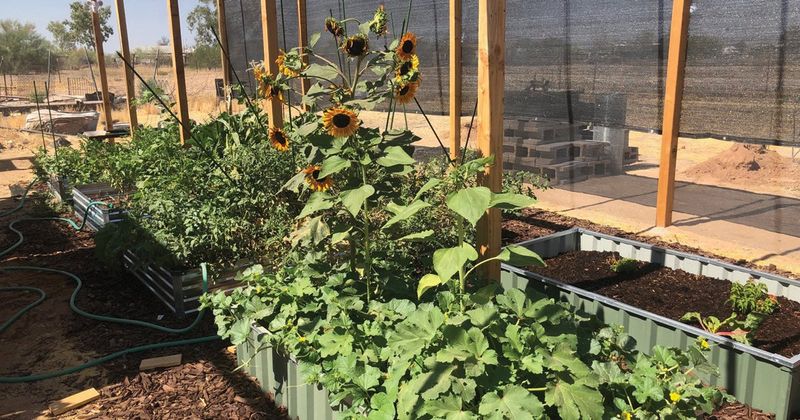 Direct Sun Exposure Heats Up Soil Faster In Raised Beds