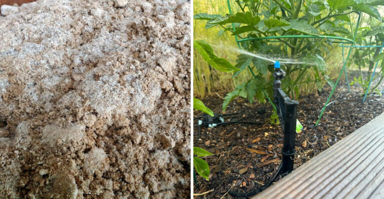 Why Arizona Soil Buildup Is Destroying Your Garden And How To Flush It Out