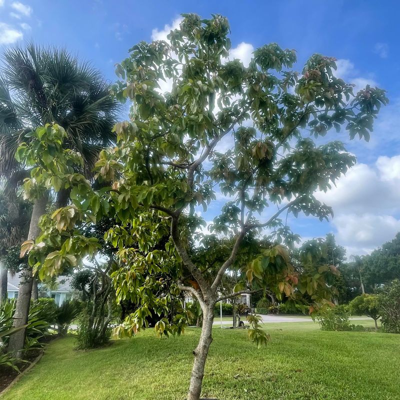 The Feeding Gaps That Hurt Production