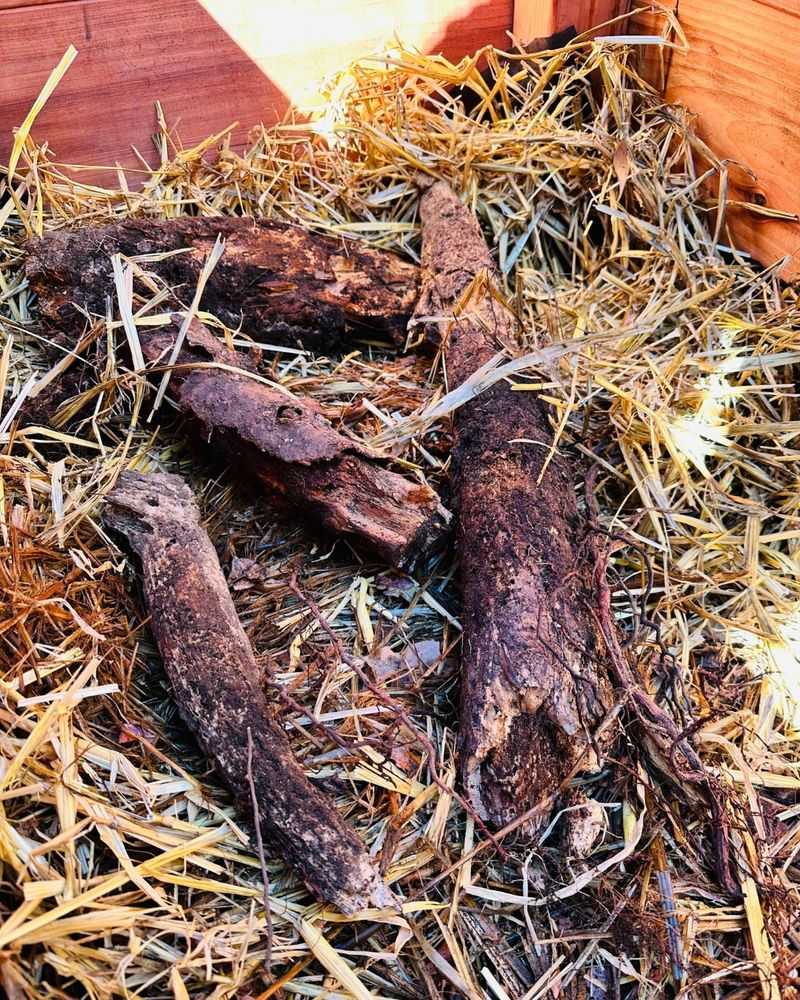 They Act As Natural Water Reservoirs