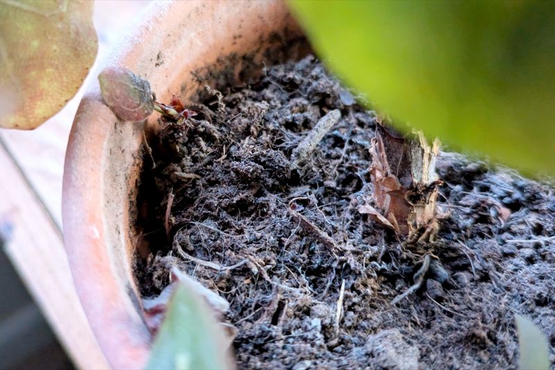 How To Get Rid Of Them Without Overcomplicating It