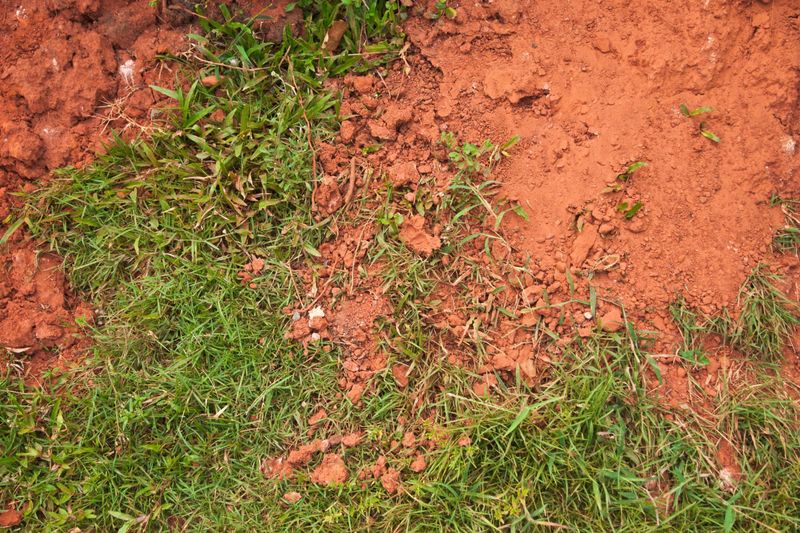 Clay Soil Slows Drainage And Keeps Water Sitting