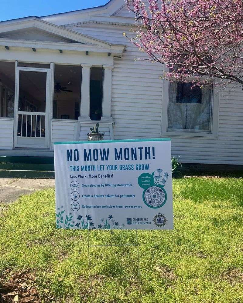 How To Practice No Mow May More Safely