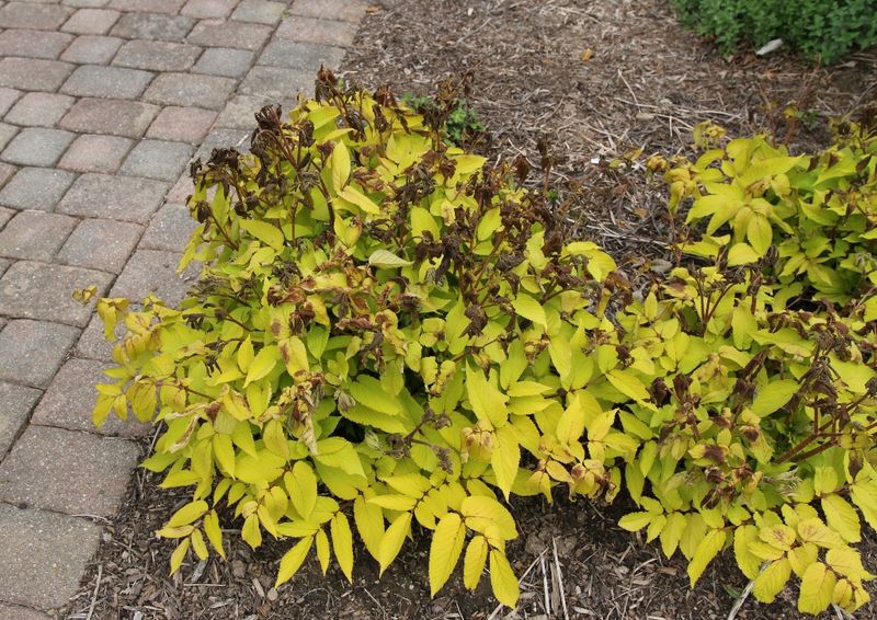 Northern And Southern Ohio Warm Up At Different Speeds