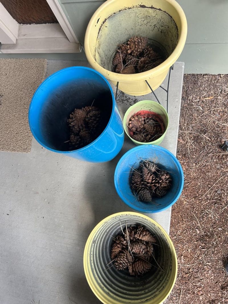 Use Pinecones To Fill Deep Pots Without Wasting Soil