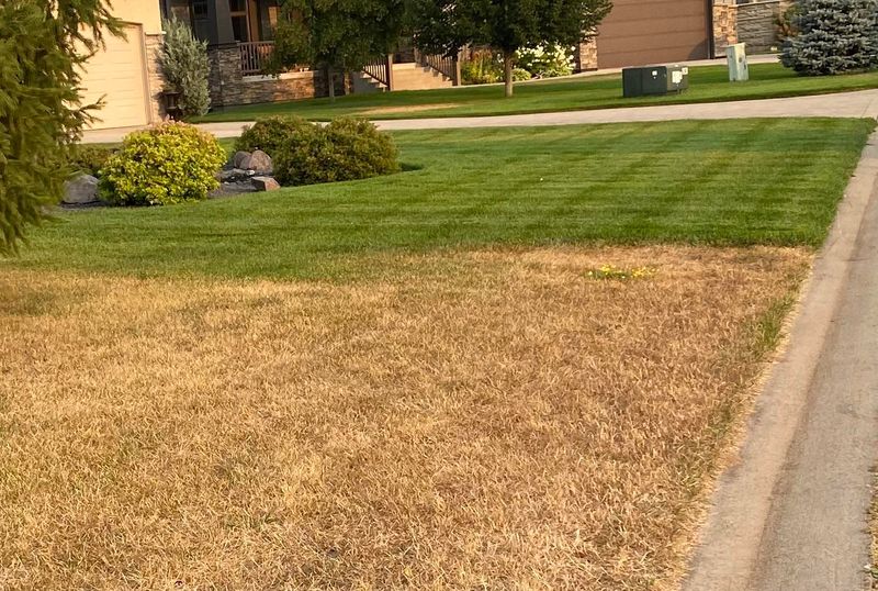 Drought-Proofing Without The Penalties