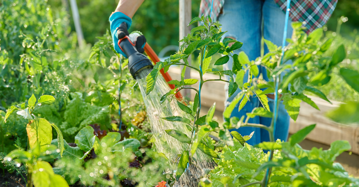 Why Your Pennsylvania Garden Isn’t Thriving