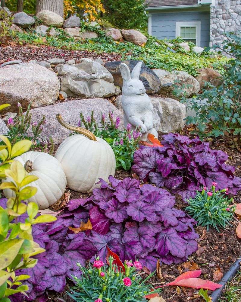 Coral Bells Add Color In Partial Shade