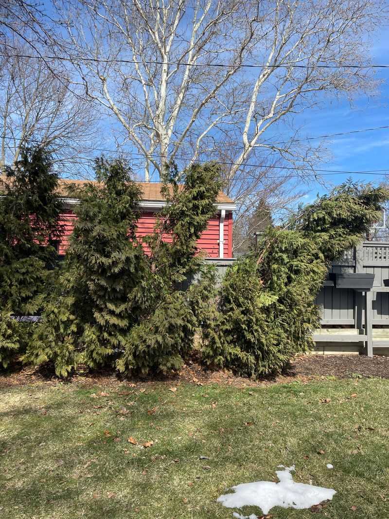 Weak Structure Starts Early