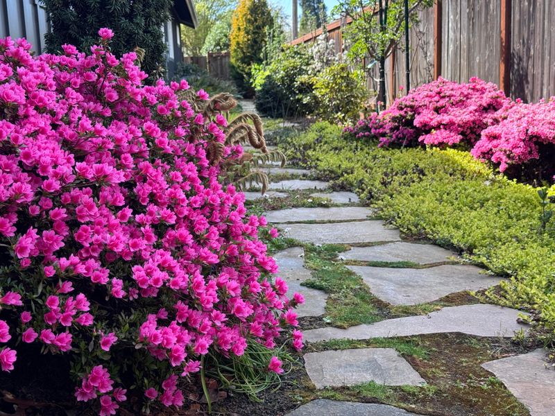 Planting Location Lacks Protection From Temperature Swings