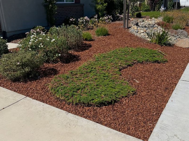 Bark Mulch Works Better In Shaded Spots