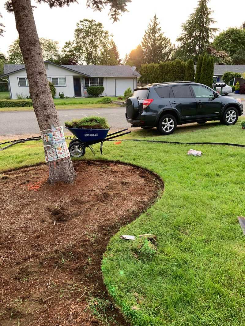 Mulch Trench Edging Keeps Beds Defined With Minimal Effort