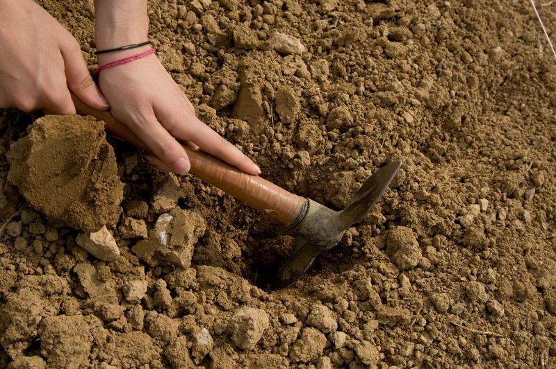 Loosen Soil Deeply And Break Up Clods