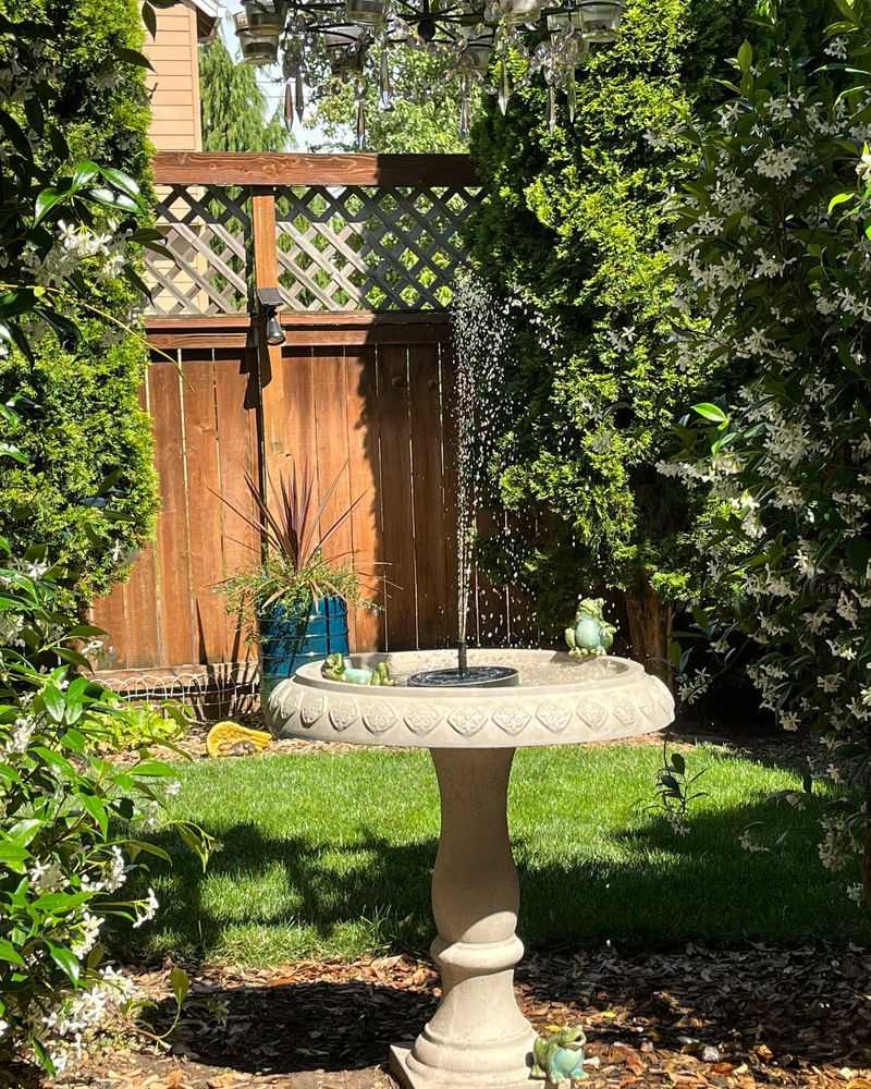 Fresh Water Sources Complete The Habitat Setup