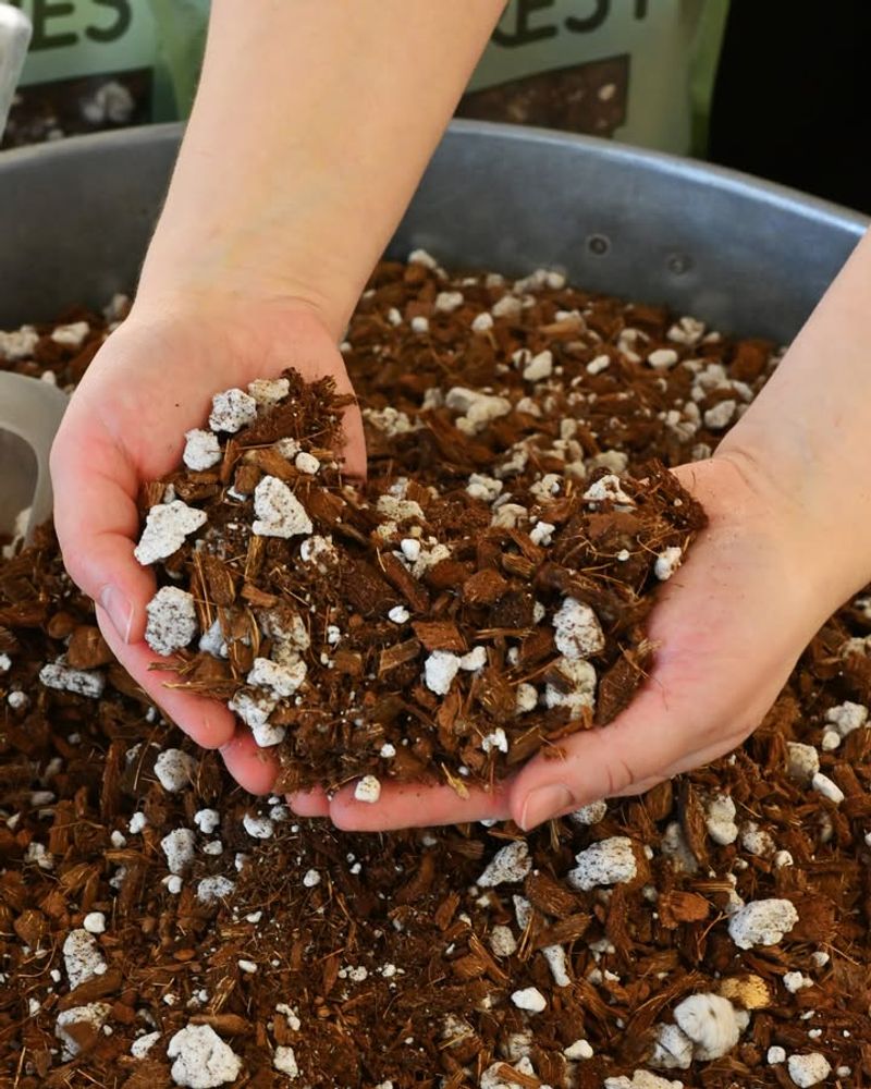 North Carolina's Clay Soil Is Irrelevant But Your Pot And Mix Are Everything