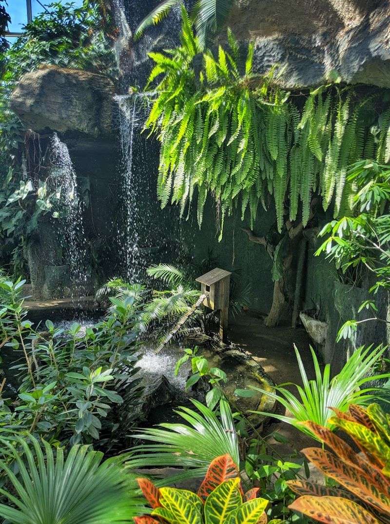 Amarillo Botanical Gardens