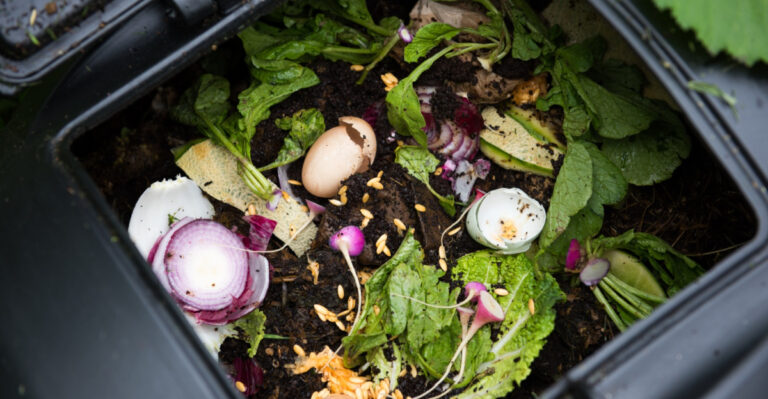 10 June Compost Ingredients Indiana Gardeners Swear By For Richer Fall Soil