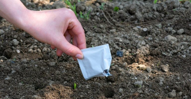10 Seeds Georgia Gardeners Can Sow Directly Outdoors In May