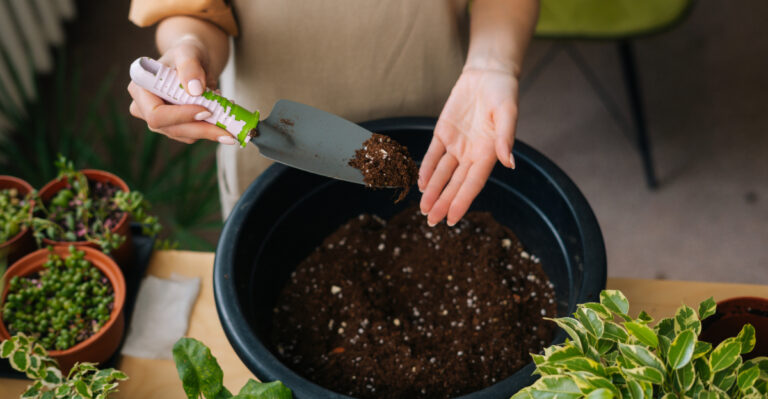 10 Smart Ways California Gardeners Reuse Old Potting Soil