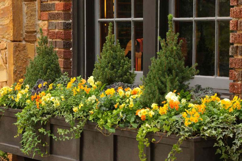 24-Inch Pots Are Made For Big Mixed Flower Displays