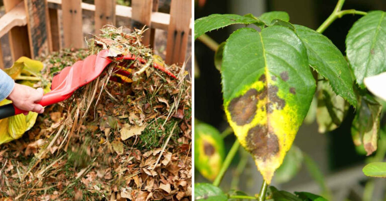 5 Things Floridians Should Compost And 4 That Can Ruin The Whole Pile