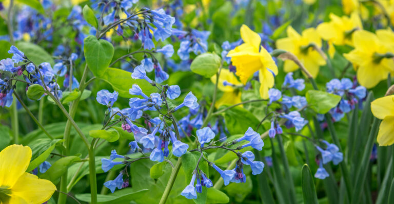 © Image Credit: Kristen Prahl / Shutterstock