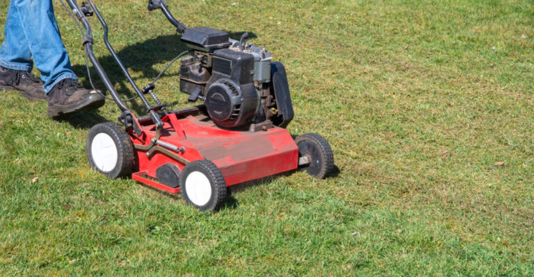 7 Lawn Care Mistakes Georgia Gardeners Should Steer Clear Of In May
