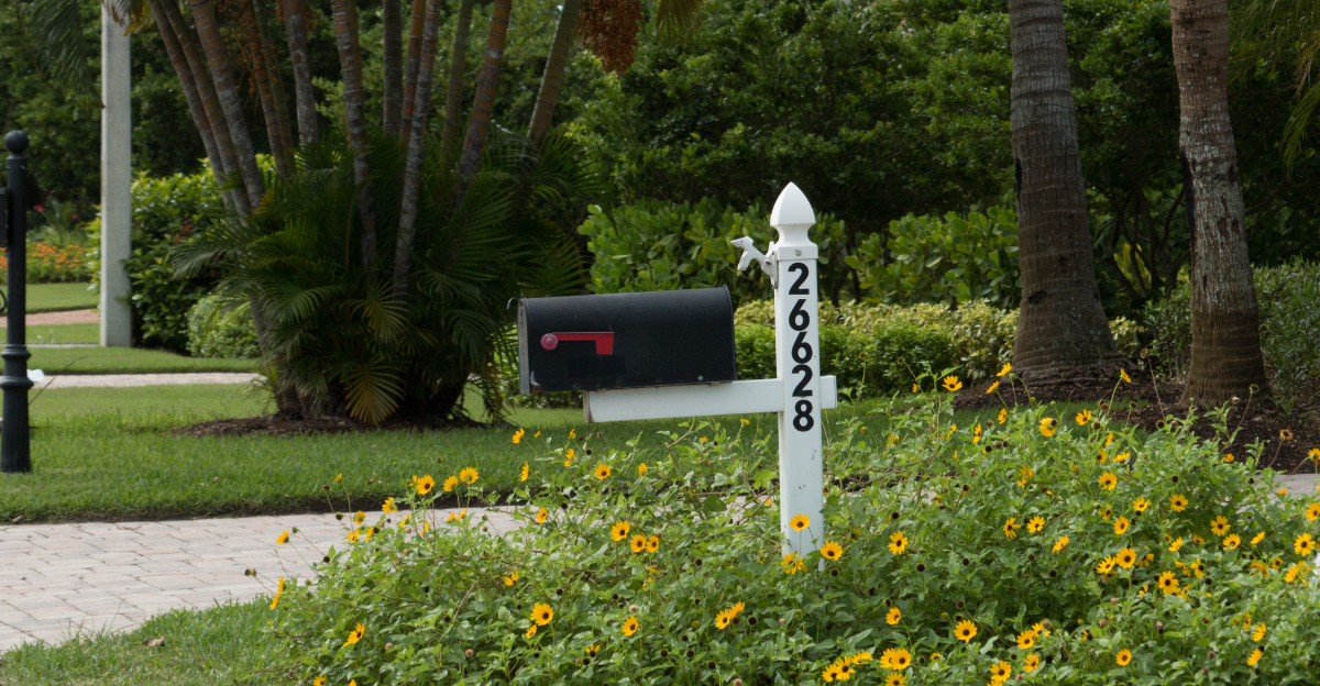 mailbox garden