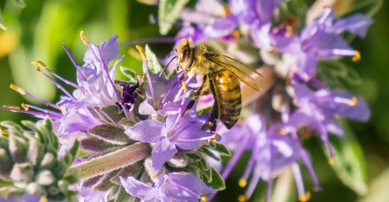 © Image Credit: Sundry Photography / Shutterstock