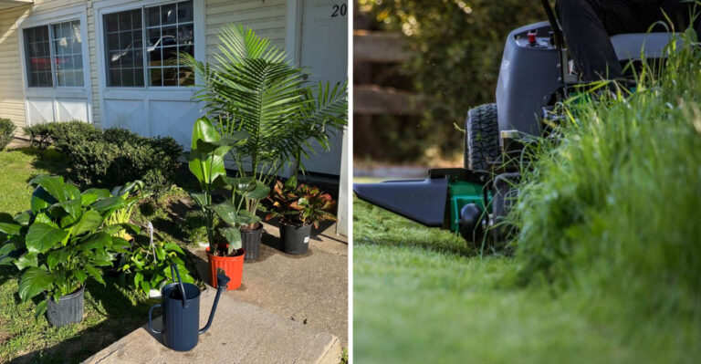 8 Common May Mistakes Some Pennsylvania Gardeners Are Guilty Of Making