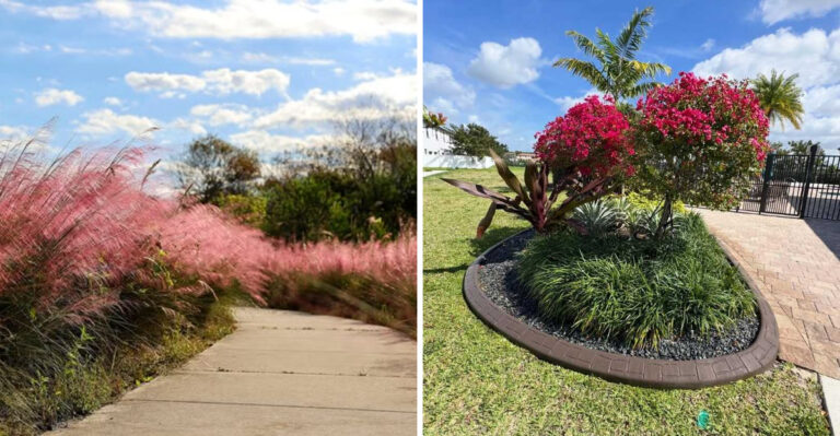 8 Florida Walkway Border Ideas That Remain Neat Year-Round Without The Need For Replanting