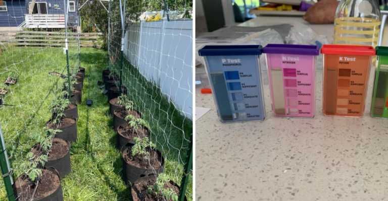 8 Fungus-Prone Gardening Mistakes Georgia Homeowners Make In May