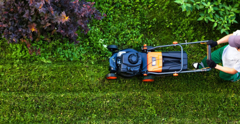 8 Reasons Why Wisconsin Homeowners Are Skipping The Mower This May