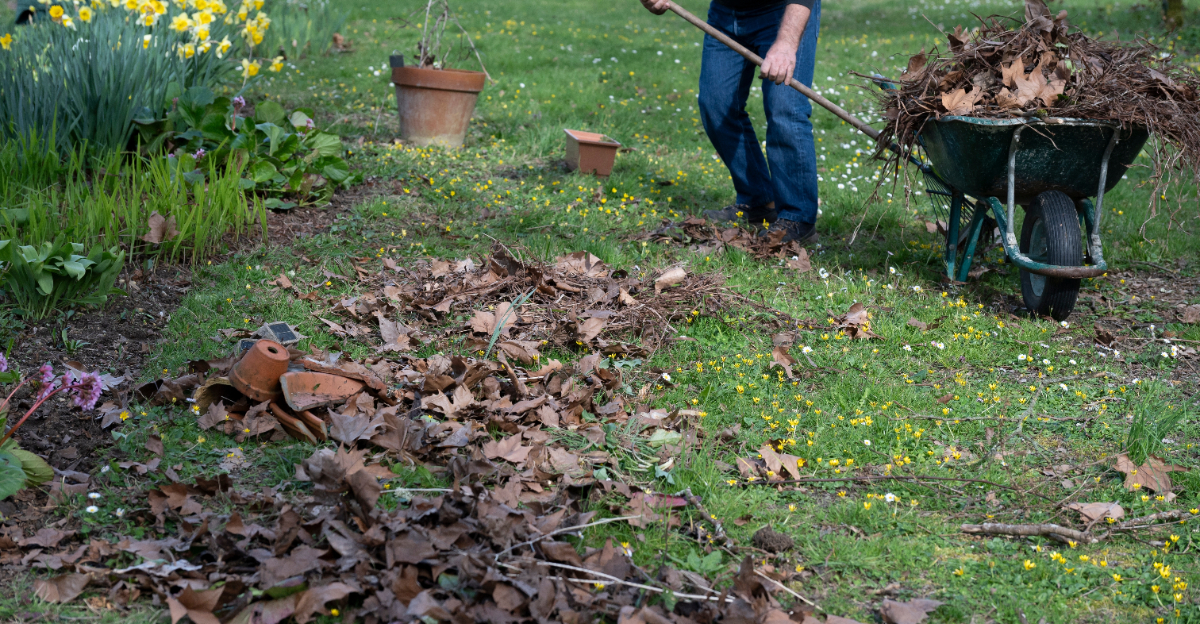 yard cleanup
