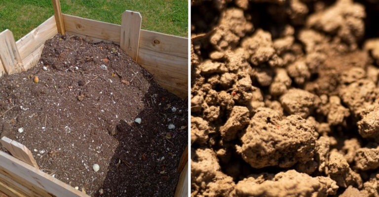 soil
