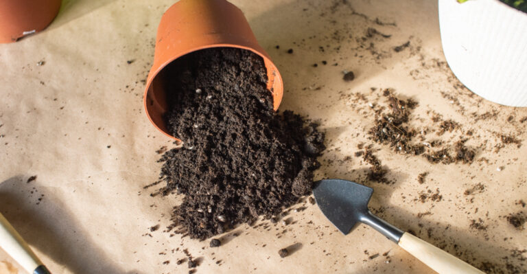 9 Smart Ways Oregon Gardeners Reuse Old Potting Soil