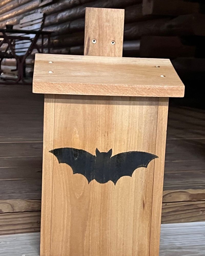 A Proper Bat House Matters More Than A Cute One