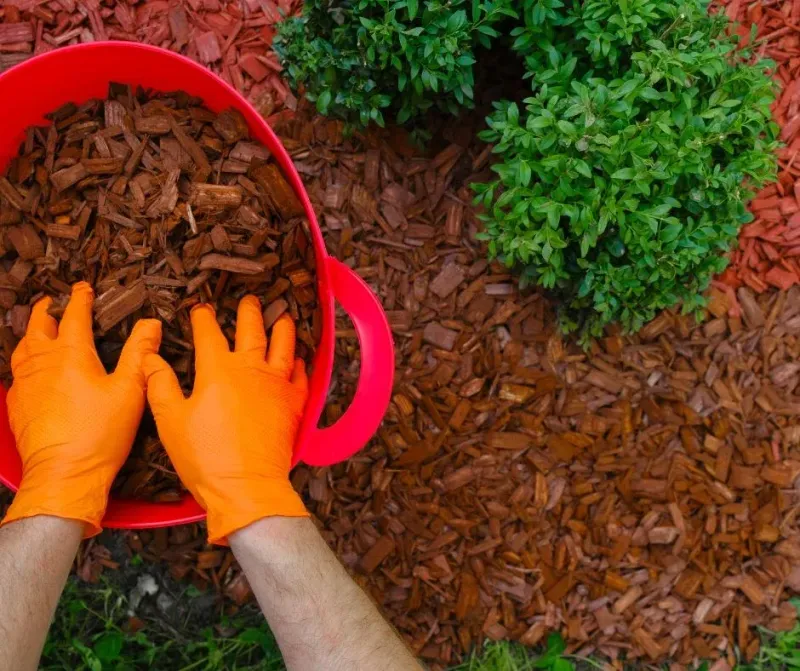 A Simple Mulch Refresh Can Help Beds Hold Moisture Longer