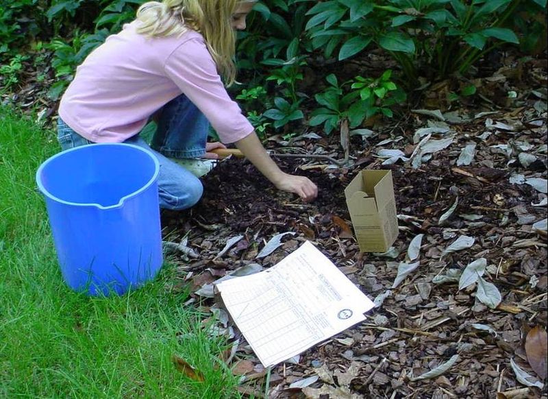 A Soil Test Should Shape The Feeding Plan First