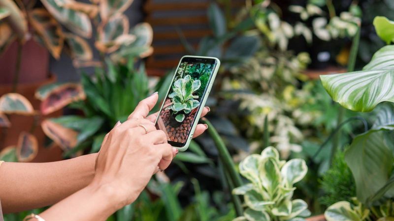 AI Is Reaching The Garden