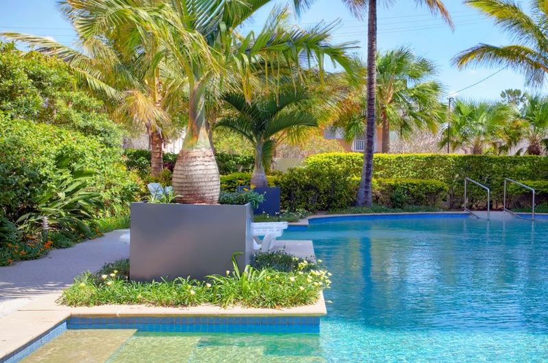 Add Bottle Palm For A Unique Sculptural Touch