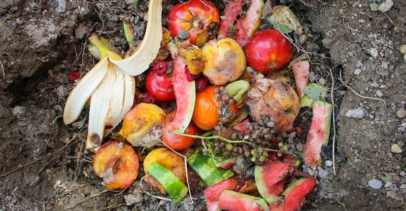 Add Fruit And Vegetable Scraps