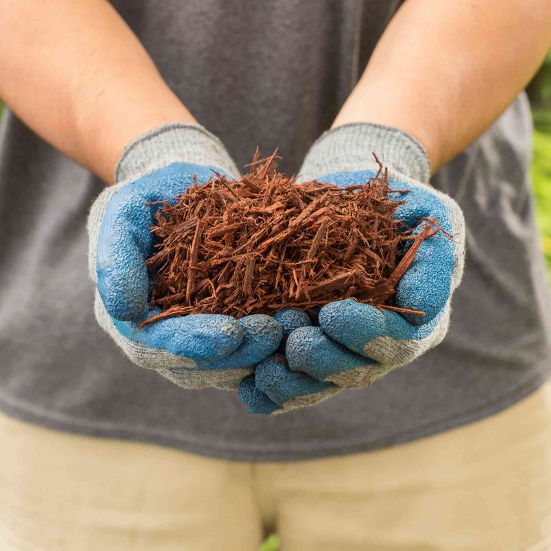 Add Mulch Around The Base