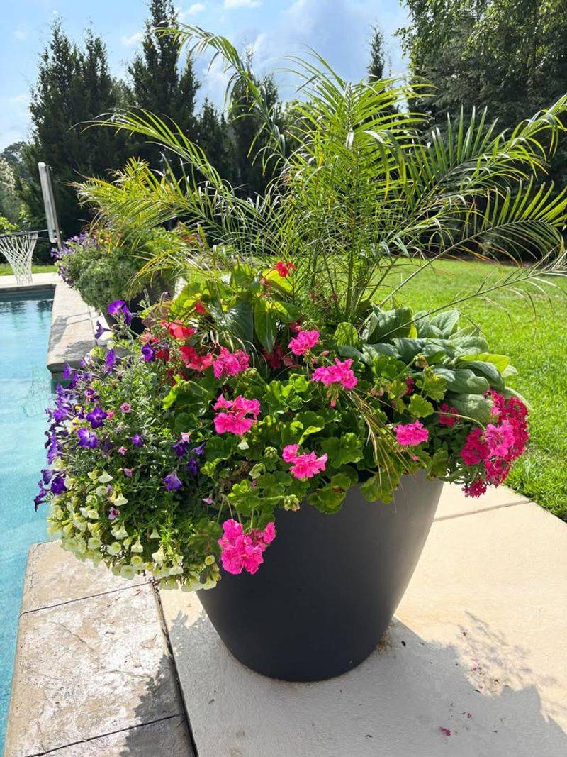 Add Slow-Release Fertilizer Before Summer Growth Begins Add Slow-Release Fertilizer Before Summer Growth Begins