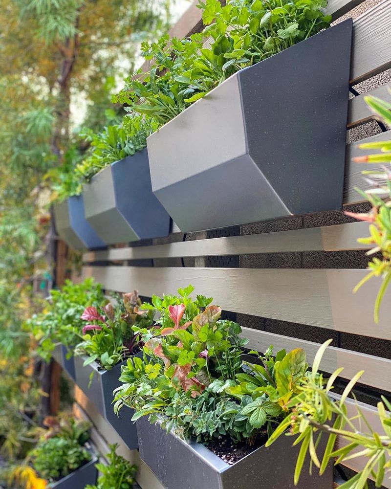 Add Vertical Gardening To Pull The Eye Upward
