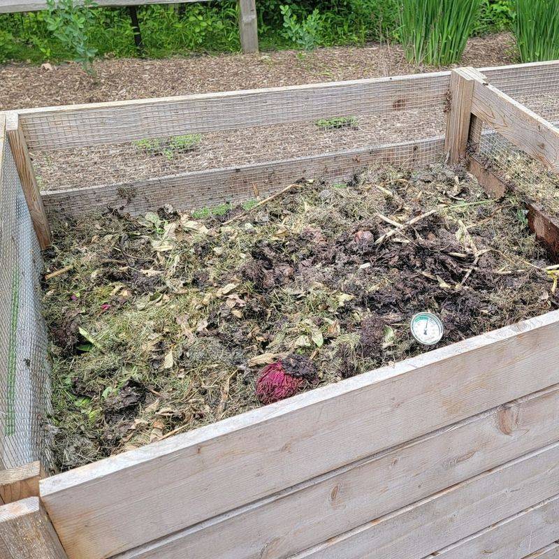 Added Compost Improves Soil Before Autumn Crops Arrive