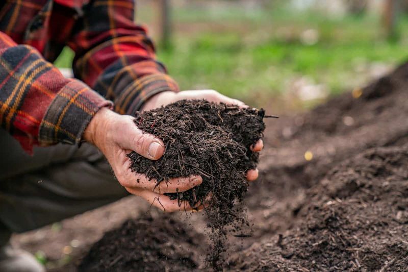 Adding Compost Before Soil Gets Baked Hard