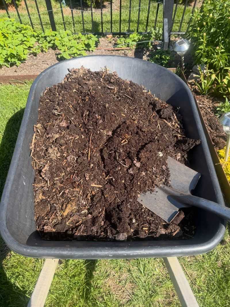 Adding Compost Is The Fastest Long-Term Fix For Compacted Soil
