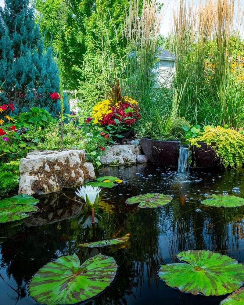 Adding Native Water Plants Around Ponds Adding Native Water Plants Around Ponds