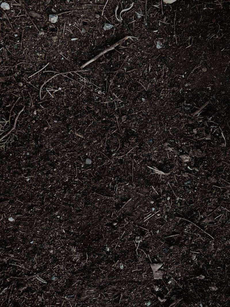 Adding Organic Matter As They Decompose